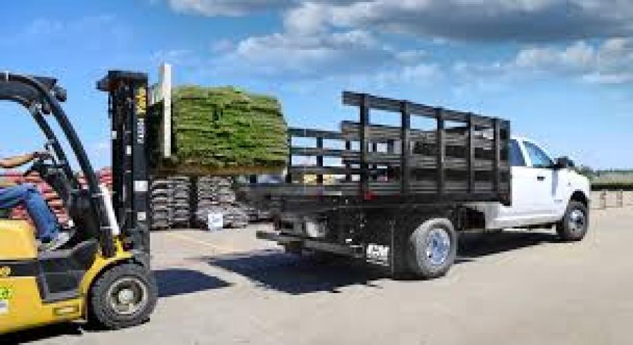 CM PL TB PL 9/101/34 Image 0