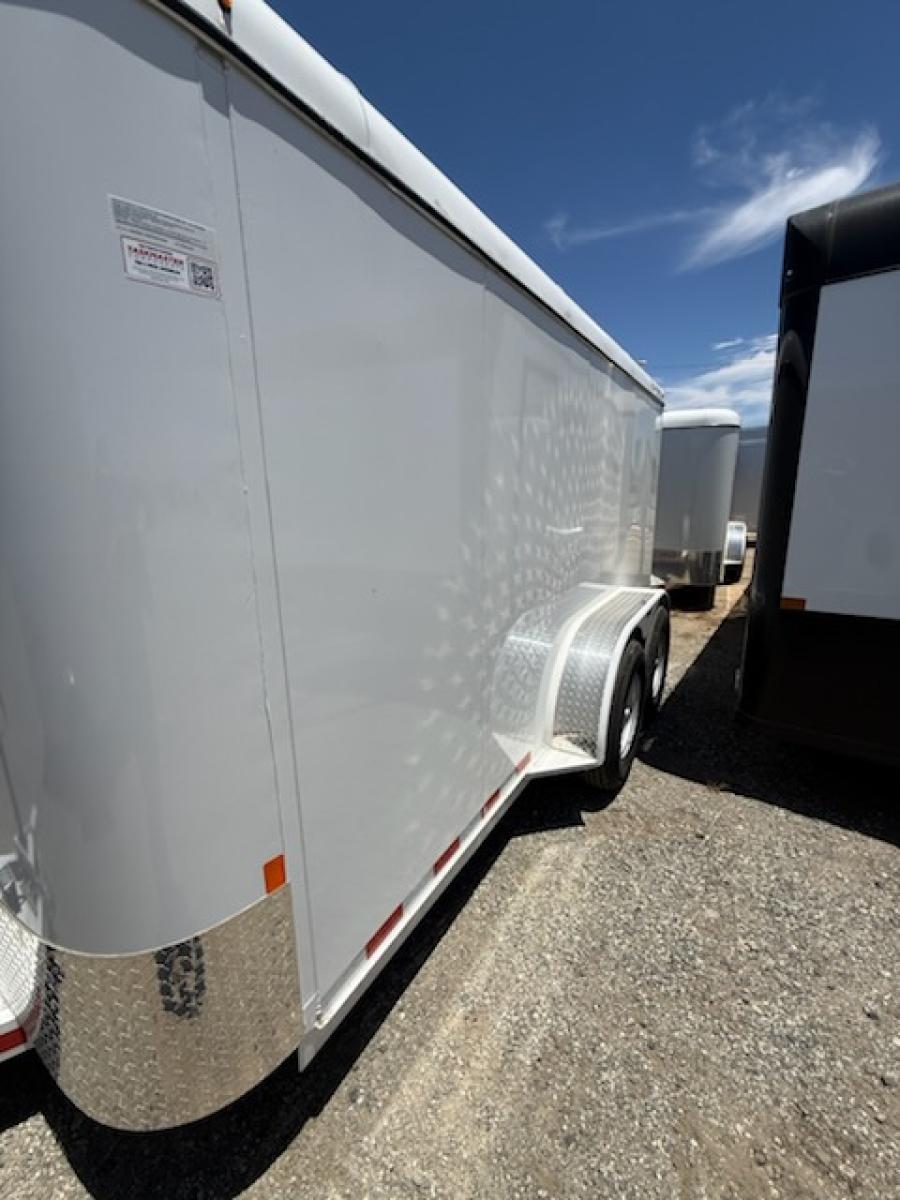 300T 300 CARGO BUMPER PULL BY DELTA 14X6X6 Image 0